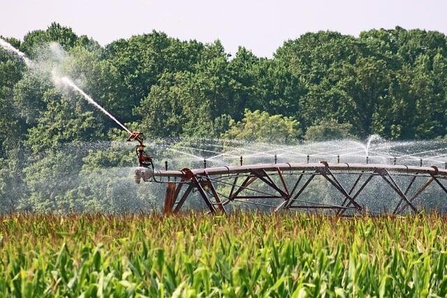 A field of corn being watered by farm irrigation equipment
