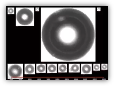 Dynamic imaging view highlighting ring-shaped gas bubble images automatically identified in Water for Injection.
