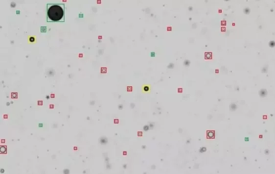 Dynamic imaging microscope frame of WFI with particles highlighted by colored classification boxes