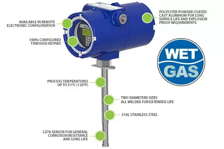 Kurz 454FTB-WGF single-point insertion thermal mass flow meter with probe-style sensor and explosion-proof transmitter housing.